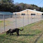 IMG_0044_576x400