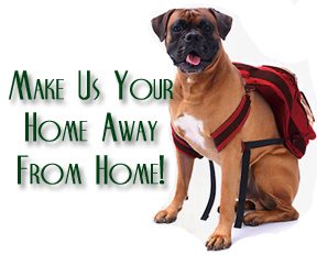 Pin Oak Kennels provides pick-up and drop-off service for boarding dogs throughout Dallas, University Park, Highland Park and surrounding DFW communities. See details regarding our dog boarding / kennel service