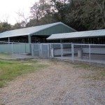 outdoor_kennels_building_576x400