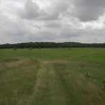 pokhay29