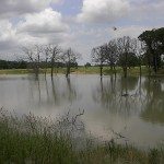 pokhaywater3